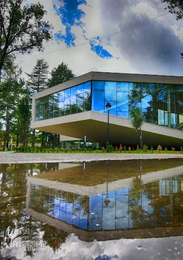 Президентский центр Звиада Гамсахурдия